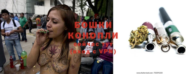 PSILOCYBIN Абдулино