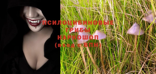 спайс Абаза
