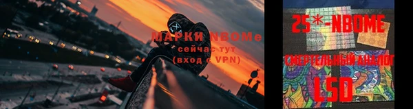 ПСИЛОЦИБИНОВЫЕ ГРИБЫ Алексин