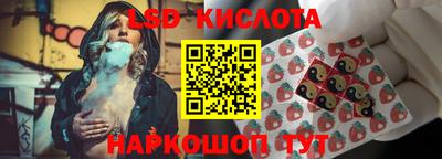 прущие грибы Жуковский