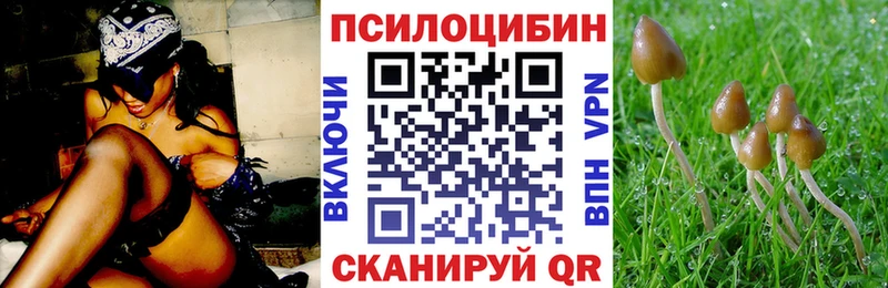 купить наркотик  Сатка  мега как войти  Псилоцибиновые грибы мицелий 