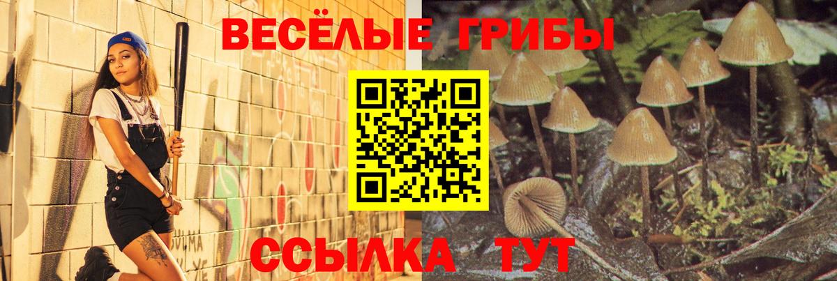 Псилоцибиновые грибы Cubensis  дарнет шоп  Сатка  Псилоцибиновые грибы Psilocybe  Вход с VPN 