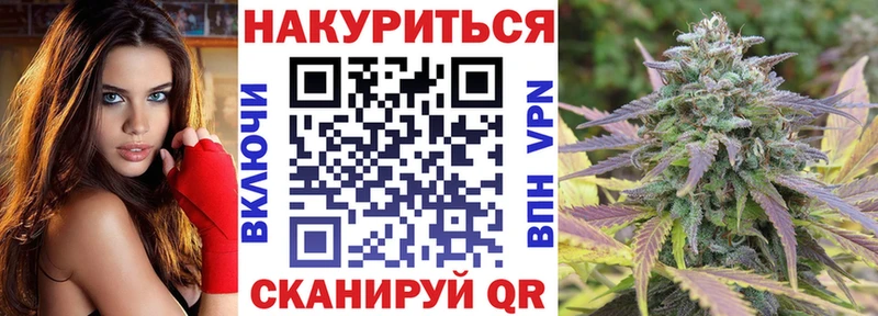 купить Сатка Конопля Amnesia